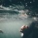 acqua