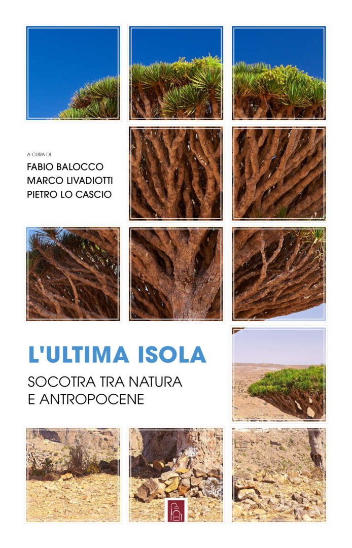 Socotra